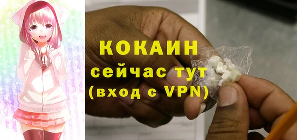 Альфа ПВП Богородск