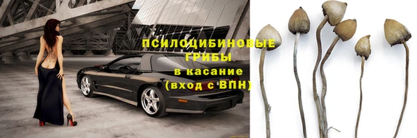 Альфа ПВП Богородск