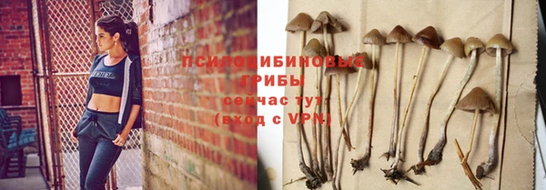 2c-b Бородино